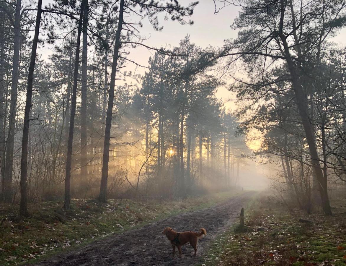 Het Natuurhuisje Op De Veluwe Нюнспет Экстерьер фото