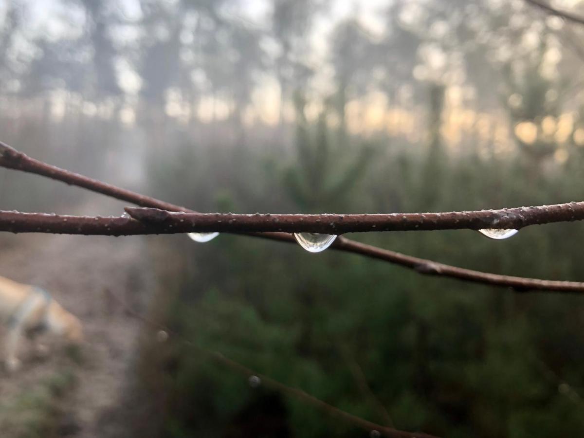 Het Natuurhuisje Op De Veluwe Нюнспет Экстерьер фото