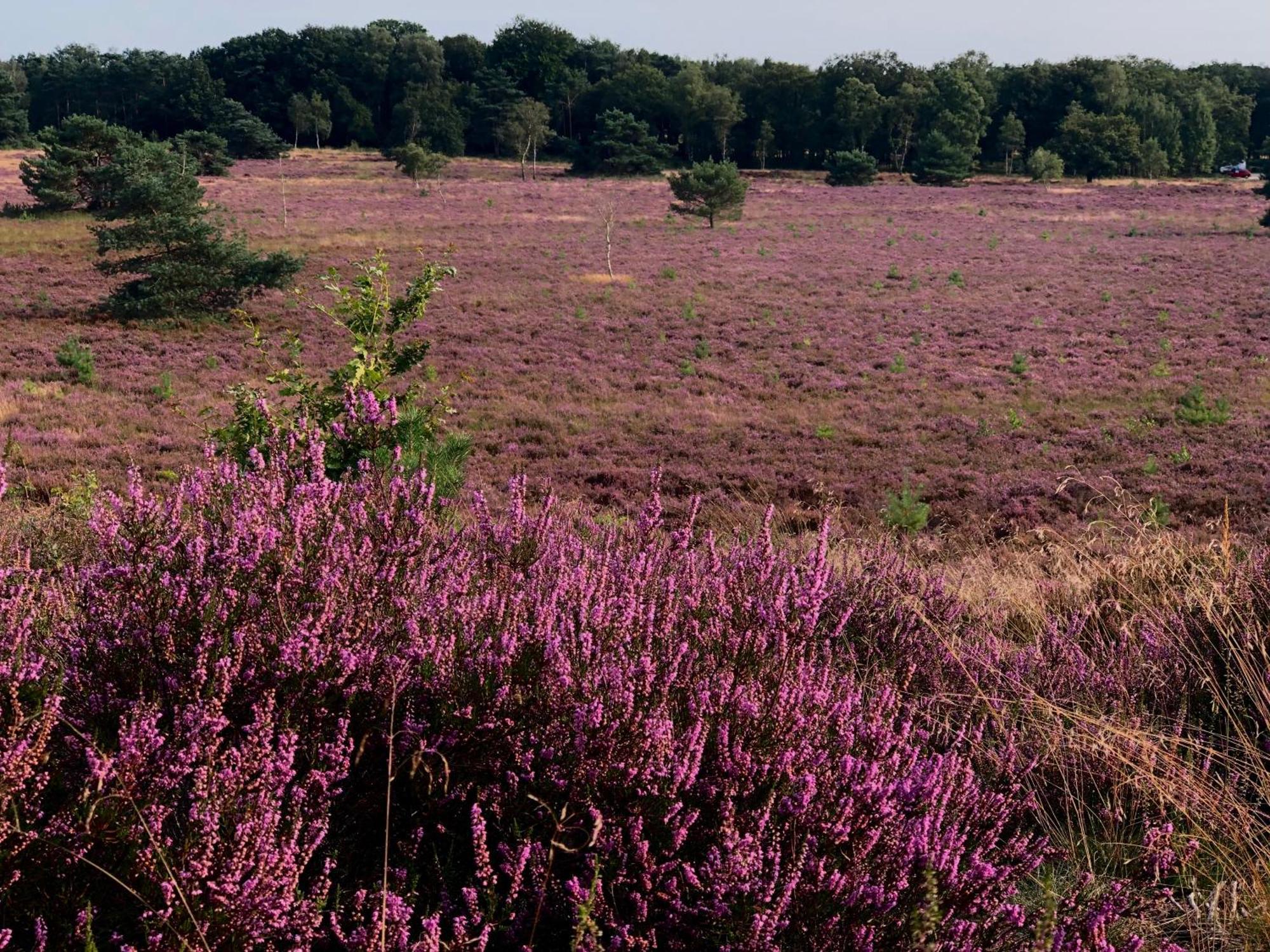 Het Natuurhuisje Op De Veluwe Нюнспет Экстерьер фото