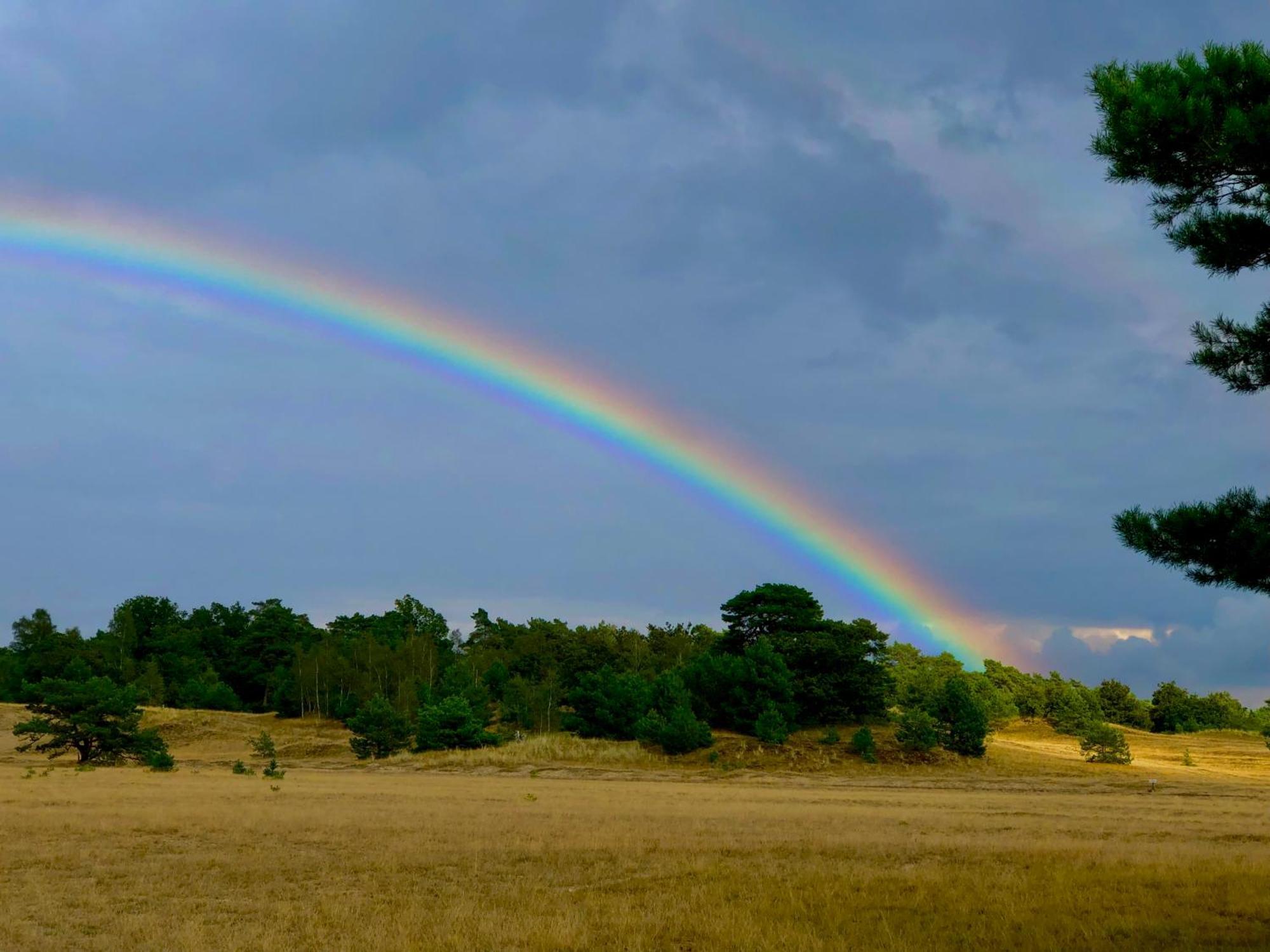 Het Natuurhuisje Op De Veluwe Нюнспет Экстерьер фото